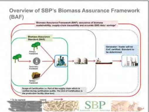 Abbildung 4: Überblick über das Biomass Assurance Framework im Rahmen der Sustainable Biomass  Partnership 