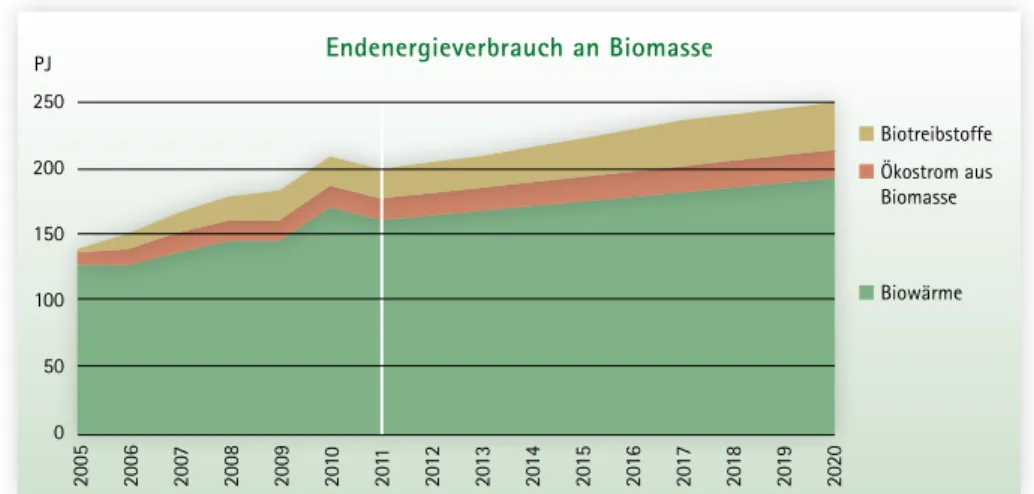 Abb. 5: Entwicklung des Endenergieverbrauchs an Biomasse von 2005 bis 2011 und die Ausbaupotenziale bis 2020 Biowärme Biotreibstoffe Ökostrom aus Biomasse2502001501005002005 2006 2007 2008 200920102011201220132014201520162017201820192020Endenergieverbrauch