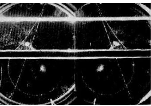 Abbildung 2: Energieabgabe von einem Elektron an ein Positron in einer Blei- Blei-platte 1933, [8]