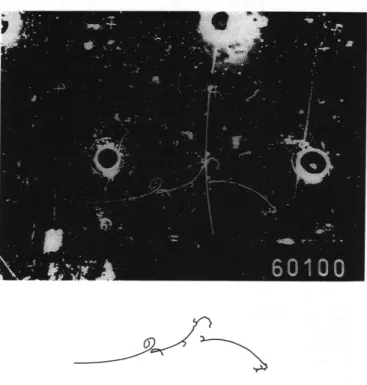 Abbildung 6: Myonloses Neutrinoereignis;in der Vergr¨oßerung sieht man von links kommend das Elektron, das an Spiralisation und harter  Bremsstrah-lung zu erkennen ist; aus [4]