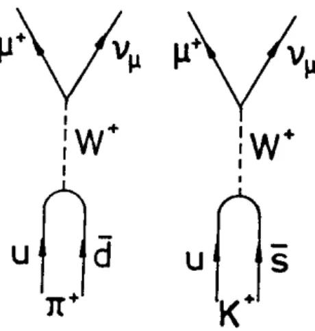 Abbildung 3: π + - und K + -Zerfall, aus [3]