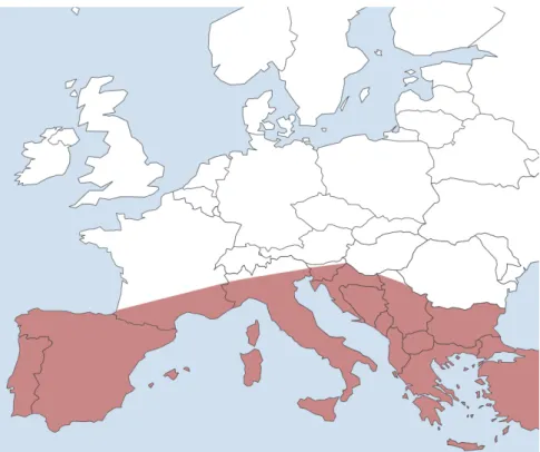 Abb. 1 Verbreitung der kaninen Leishmaniose in Europa. Auch nördlich des rot  eingefärbten Endemiegebiets wurde bereits von importierten sowie autochthonen  Fällen der kaninen Leishmaniose berichtet