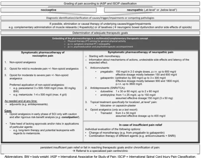 Figure 2: Clinical algorithm for assessment and management of individuals with pain after spinal cord injury