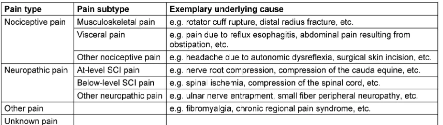 Table 7: International Spinal Cord Injury Pain (ISCIP) Classification [30], [31]