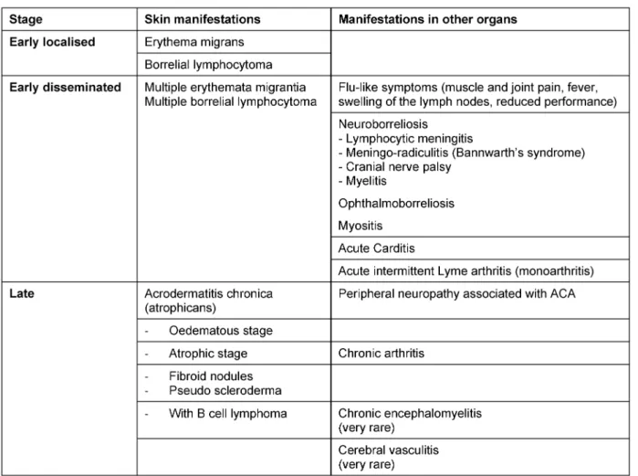 Table 1: Clinical manifestations of Lyme borreliosis