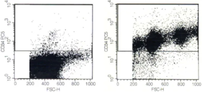 Figure 1: FACS analysis of HUCB cells used for treatment. Left panel shows a CD34 + cell depleted sample stained with an
