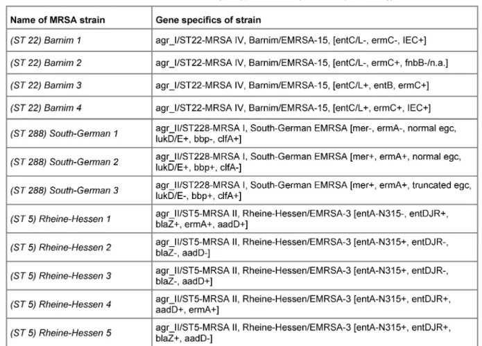 Table 3: MRSA strains and their genotype detected by microarray technology