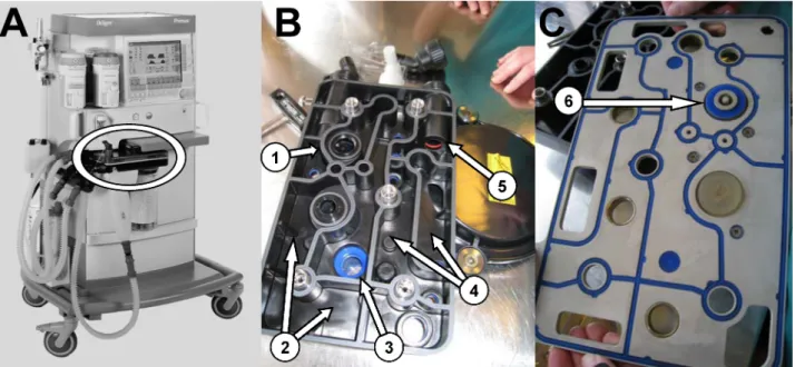 Figure 1: Sampled locations of the internal breathing-circuit-system (BCS) of anesthesia machine (Primus, Draeger Medical, Germany): A, anesthesia machine „Primus“: encircled the BCS