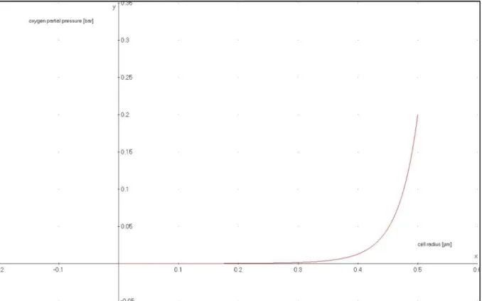 Figure 1: Partial pressure of oxygen in a spherical aerobic prokaryotic cell as a function of the cell radius (from [1]) about 10 –50 hPh to 10 –60 hPa