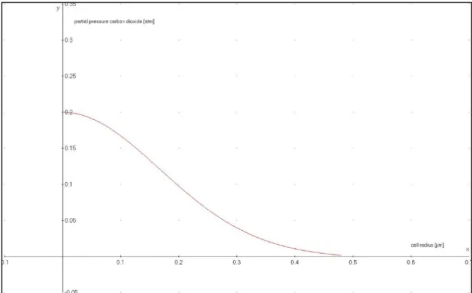 Figure 2: Partial pressure of carbon dioxide calculated from production and diffusion of the compound as a function of the prokaryotic cell radius