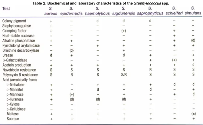 Table 1: Biochemical and laboratory characteristics of the Staphylococcus spp.