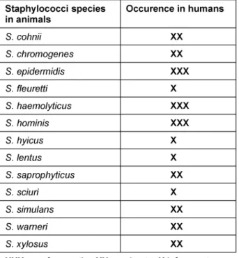 Table 2: Coagulase-negative Staphylococci in animals and their occurrence in humans [121], [122], [132], [190]