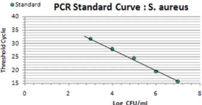 Figure 1: Standard curve showing consistency in CT values between serial dilutions (S