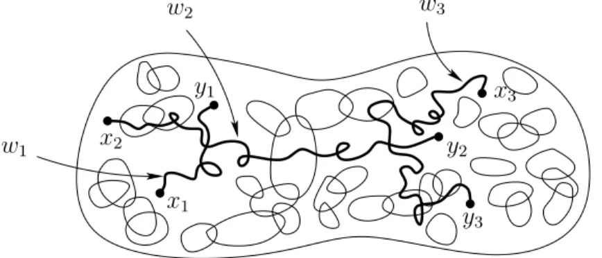 Fig. 0.1: The paths w 1 , . . . , w k in E interact with the gas of loops through the random potentials.
