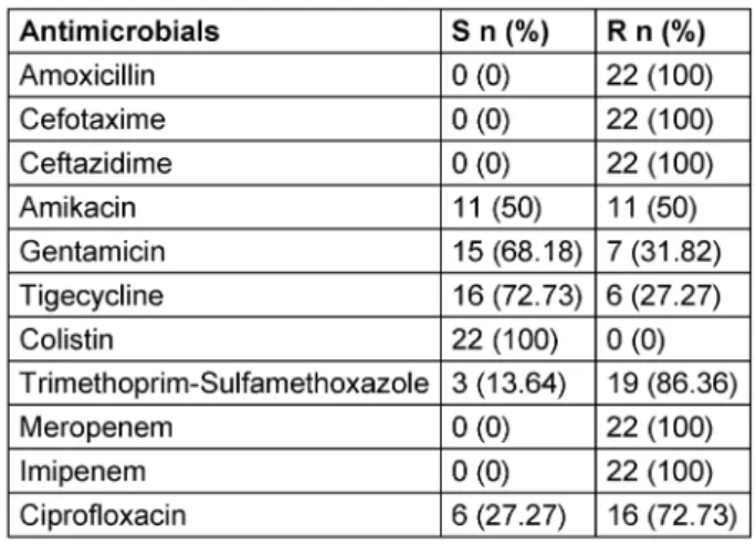 Table 1: Primers related to antimicrobial resistance genes used in this study