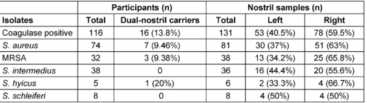 Table 6: Distribution of staphylococcal isolates across participants and nostril samples