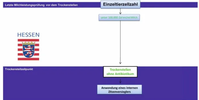 Abbildung 1: Trockenstellen eutergesunder Kühe 