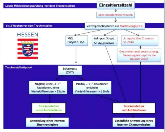 Abbildung 3: Trockenstellen euterkranker Kühe 