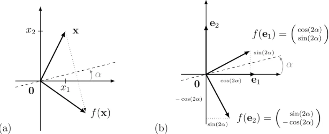 Abbildung 8.2: Spiegelung (a) eines Vektors im R 2 (b) der Einheitsvektoren.