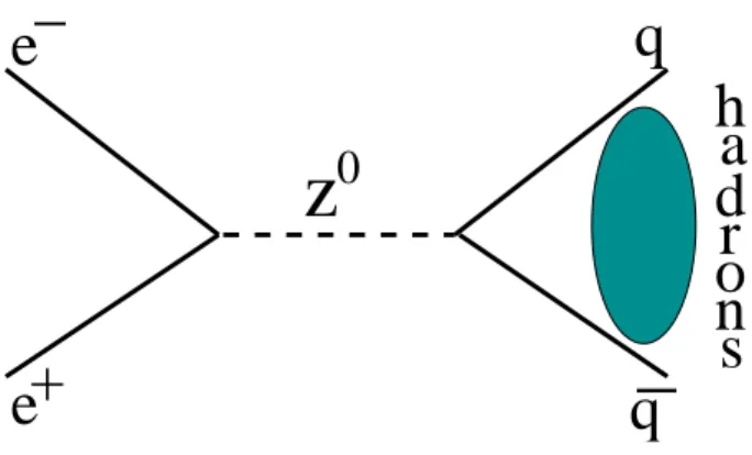 Abbildung 2: The process of e + e − annihilation to form a Z 0 boson that then decays into a q¯q pair.