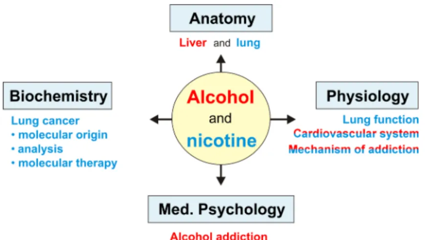 Figure 2: Attribution of the subject-specific course contents to the topics “alcohol” (red) and “nicotine” (blue).