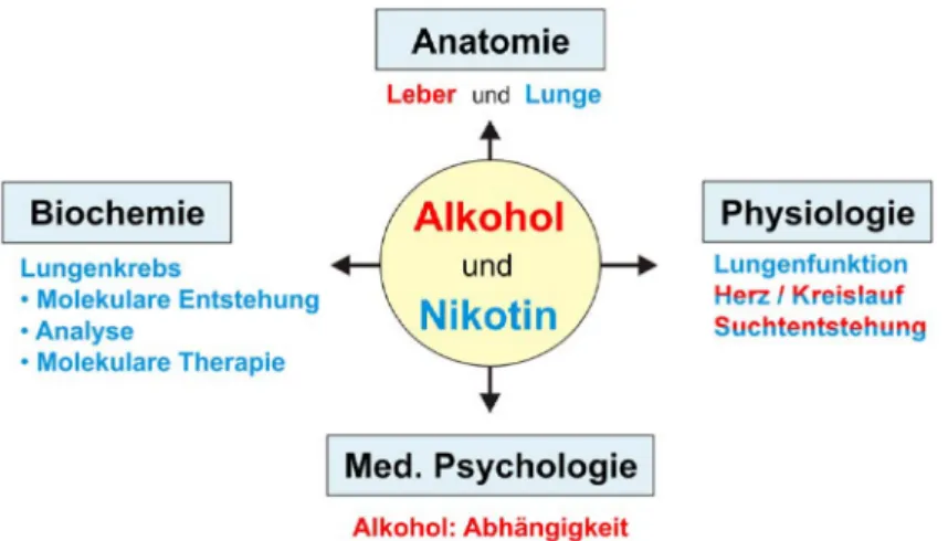 Abbildung 2: Inhaltliche Zuordnung der Lehrinhalte der Fächer zu den Themen „Alkohol“ (rot) und „Nikotin“ (blau).