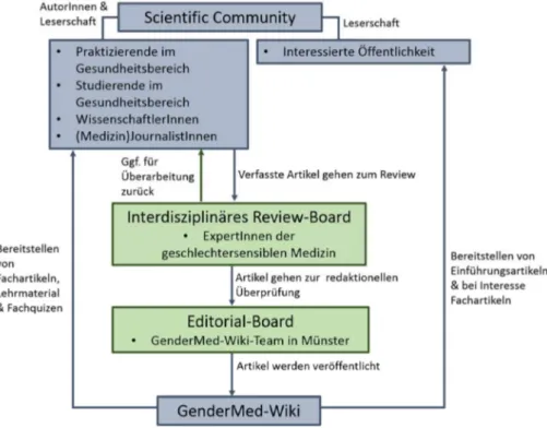 Abbildung 3: Funktionsprozesse GenderMed-Wiki.