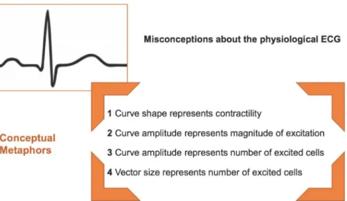 Figure 4: More Is Up – metaphorical conceptions impeding an appropriate comprehension of the physiological ECG.