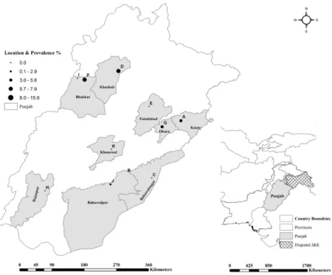 Figure 1. Geographic distribution of brucellosis infection among livestock farms in Punjab, Pakistan