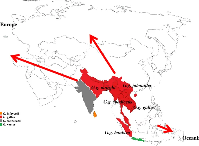 Figure 1.1: The distribution of chicken wild species. Red arrows show the westwards  and  eastwards directions of dispersion after domestication