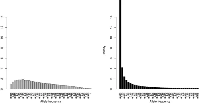 Figure  2.2:  Allele  frequency  spectrum  of  array  data  (left)  and  WGS  data  (right)  for  39  populations
