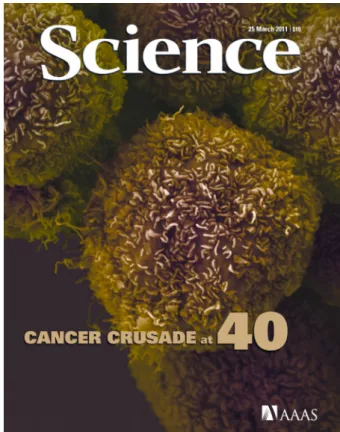 Figure 1: Science, 25 March 2011 cover. [Credit: Anne Weston, Cancer Research UK, Visuals Unlimited, Inc.]
