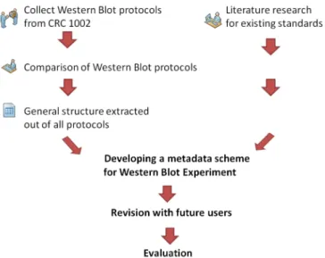 Figure 1: Generic workflow used to create a metadata scheme (here: for Western Blot)
