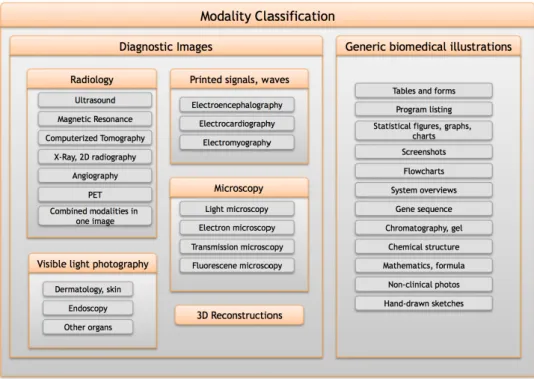 Figure 1: Modality hierarchy to be used for prediction [11]