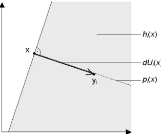 Abbildung 3: Gradient, Gradientenkegel und Präferenzkegel im zweidimensionalen Raum 