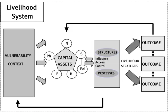 Figure 3: The Livelihood System 
