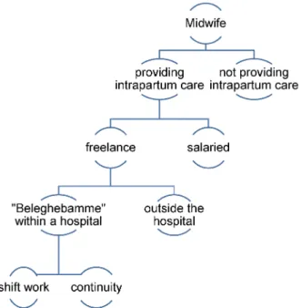 Figure 1: Work structures within the midwifery profession The work model of independent or self-employed  mid-wives providing intrapartum care can essentially be  di-vided into two different systems [12]: