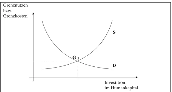 Abbildung 3:  Angebots- und Nachfragefunktionen der Investition in Humankapital