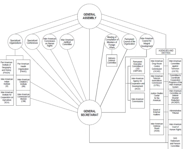 Figure 2: OAS organizational structure (OAS 2013b)