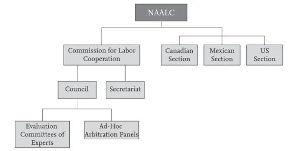 Figure 3: NAALC Institutional Structure 7