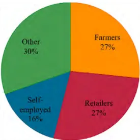 Figure 6: Occupations in market segment 1   