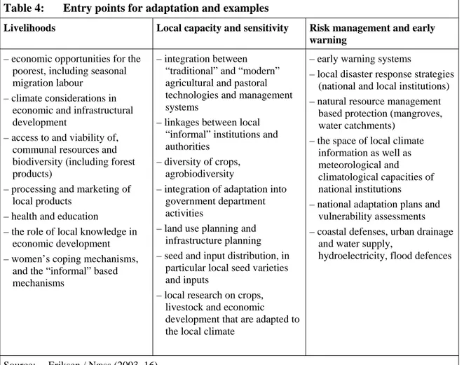 Table 4:  Entry points for adaptation and examples 