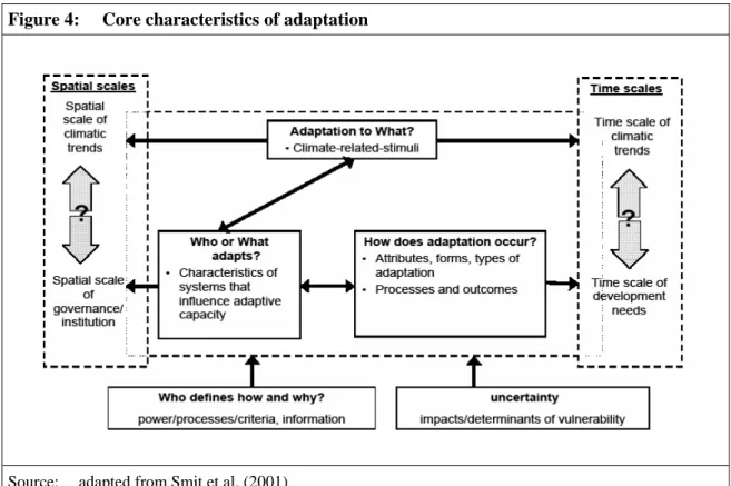 Figure 4:  Core characteristics of adaptation 