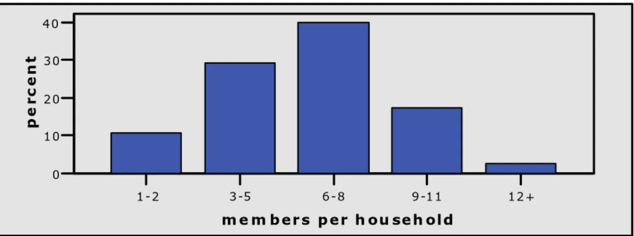 Figure 1: Household size 