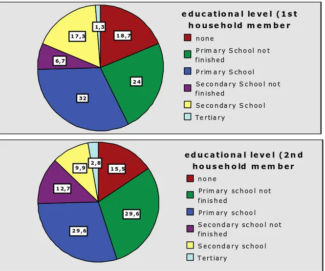 Figure 8: Educational level of the first and second household members 