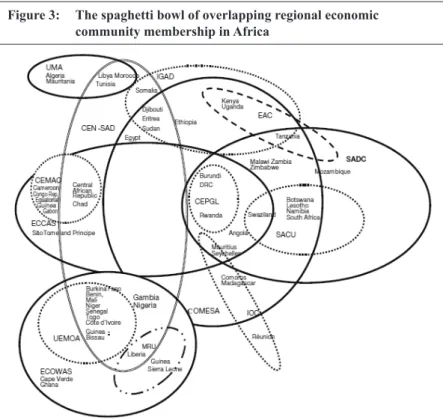Figure 3:  The spaghetti bowl of overlapping regional economic   community membership in Africa