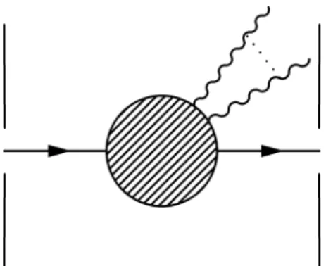 Figure 1.1: Charged particle acceler- acceler-ated by the electric field of a plate capacitor interacting with the  electro-magnetic field.