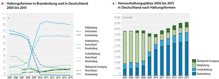 Abbildung d veranschaulicht die Entwicklung der  verschiedenen Haltungsformen in Deutschland und  Brandenburg zwischen 2005 und 2015