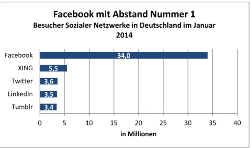 Abbildung 8: Anzahl der Besucher Sozialer Netzwerke im Januar 2014 