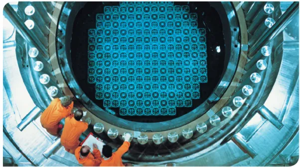 Abb. 11  Blick in den Reaktorkern